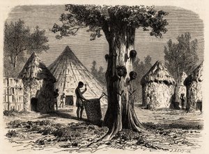 1856-1857 में ए बोलोग्नेसी की गजल नदी की यात्रा का वर्णन करने के लिए कार्ल गिरारडेट (1813-1871) द्वारा चित्रित, सूडान के बह्र-अल-गज़ल क्षेत्र, सूडान के एक गाँव में युद्ध का पेड़। एडौर्ड चार्टन द्वारा संपादित "" ले टूर डू मोंडे "" में उत द्वारा कार्ल गिरधारी