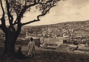  द्वारा कार्ल ग्रोबे