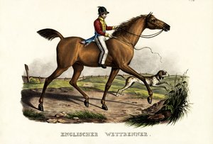 अंग्रेजी घुड़दौड़ का घोड़ा, 1824 द्वारा कार्ल जोसेफ ब्रोड्टमैन