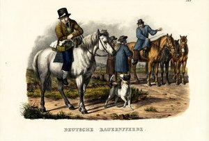 जर्मन फार्म हॉर्स, 1824 द्वारा कार्ल जोसेफ ब्रोड्टमैन