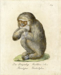  द्वारा कार्ल जोसेफ ब्रोड्टमैन