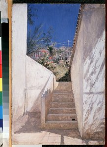  द्वारा कार्ल पावलोविच ब्रायलोव