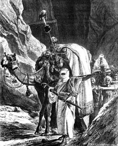 रिबेल्स के प्रमुख, 1881