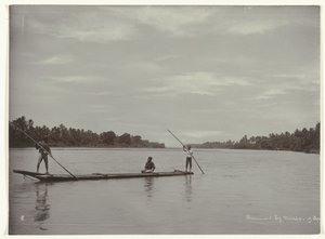 द्वारा कसियन सेफस