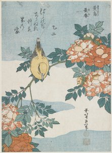 ब्लैक-नेपेड ओरियोल और चाइना रोज, सी। 1833 द्वारा Katsushika Hokusai