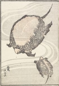 1817 में मुशी प्रांत में सयामा-गा-इके तालाब द्वारा Katsushika Hokusai