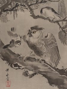 उल्लू छोटे पक्षियों द्वारा नकली, सीए। 1887।