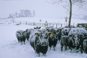  द्वारा केनेथ गैरेट