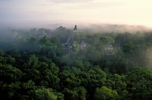  द्वारा केनेथ गैरेट