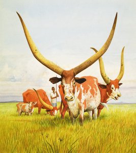  द्वारा केनेथ लिली