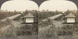 अफ्रीका और अभिनेताओं के 14 स्टीरियोग्राफ का समूह, 1850-1910।