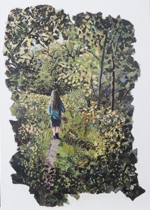 hedgerow