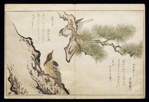 P.332-1946 Vol.1 f.3 ह्विंच और एक कठफोड़वा, एक एल्बम &39;बर्ड्स इन ह्यूमरस सोंग्स&39;, 1791 (कलर वुडब्लॉक प्रिंट) द्वारा किटगावा उतामारो