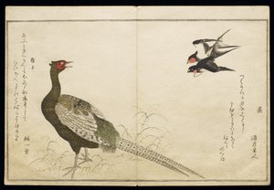 P.332-1946 Vol.1 f.6 चिमनी स्वैलोज़ की जोड़ी और एक हरा तीतर, एक एल्बम &39;बर्ड्स इन ह्यूमरस सॉन्ग&39;, 1791 (कलर वुडब्लॉक प्रिंट) से द्वारा किटगावा उतामारो