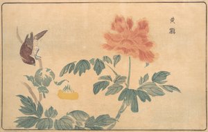 चीनी ओरिओल और Peonies, 1789।
