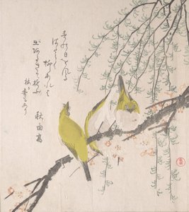 बेर के पेड़ और विलो के साथ जापानी सफेद-आंखें..., ca. 1810. द्वारा कूबो शुमन