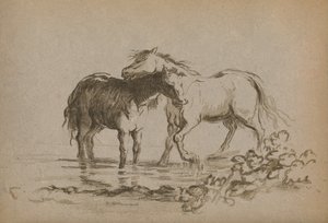 'घोड़े', 1903 द्वारा लेडी डायना स्पेंसर