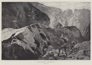हाईलैंड्स में Ptarmigan- शूटिंग