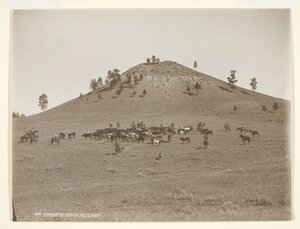 पहाड़ियों में एक छोटा गुच्छा काम करना, c. 1900.