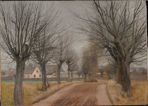 विन्डेरॉड, ज़ीलैंड, 1898 के पास एक सड़क। द्वारा लॉरिट की एंडरसन की अंगूठी