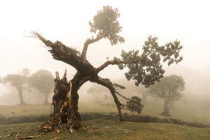  द्वारा 