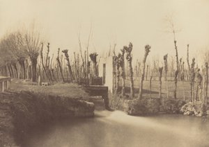  द्वारा लियोन गेरार्डो