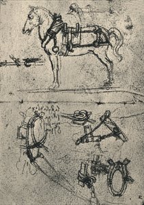 अ हार्नेस कार्ट-हॉर्स एंड स्टडीज़ ऑफ़ हार्नेस, c1480 1945 द्वारा लियोनार्डो दा विंची