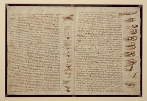 कोडेक्स लीसेस्टर का एक पृष्ठ, 1508-12 (लिनन पेपर पर सीपिया स्याही) द्वारा लियोनार्डो दा विंची