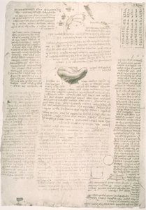 एनाटॉमी पढ़ाई द्वारा लियोनार्डो दा विंची