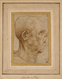 प्रोफ़ाइल में एक बूढ़े आदमी के सिर की दाईं ओर, c.1507 द्वारा लियोनार्डो दा विंची