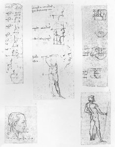 मानव चित्र के अनुपात के सिद्धांत को दर्शाता पांच चित्र, c1472-c1519 1883 द्वारा लियोनार्डो दा विंची
