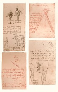चार चित्र मानव आकृति के आंदोलनों के सिद्धांत को दर्शाते हैं, c1472-c1519 1883 द्वारा लियोनार्डो दा विंची