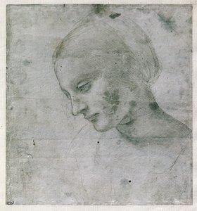 एक युवा महिला का प्रमुख या वर्जिन का प्रमुख, c.1490 (कागज पर चांदी की चौकी) द्वारा लियोनार्डो दा विंची