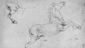 रेयरिंग हॉर्स और हॉर्स हिंद-क्वार्टर्स का अध्ययन, c1480 1945 द्वारा लियोनार्डो दा विंची