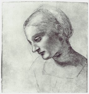 एक मैडोना के प्रमुख, c1484-1486 द्वारा Leonardo da Vinci