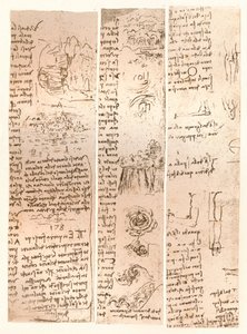 तीन चित्र, c1472-c1519 1883 द्वारा लियोनार्डो दा विंची