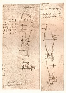 मानव चित्र के अनुपात के सिद्धांत को स्पष्ट करते हुए दो चित्र, c1472-c1519 1883 द्वारा लियोनार्डो दा विंची
