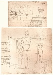 मानव चित्र के अनुपात के सिद्धांत को स्पष्ट करते हुए दो चित्र, c1472-c1519 1883। द्वारा लियोनार्डो दा विंची