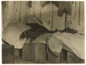 Forsythe&39;s Bog, तुर्की शहर, पेम्बर्टन, न्यू जर्सी, 1910 के पास क्रैनबेरी पिकर के लिए डी मार्को झोंपड़ी द्वारा लेविस विक्स हाइन