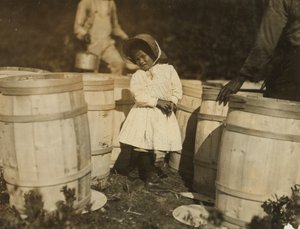 मैरी क्रिसमस, केवल 3, अपने दादा, वीक के बोग, फालमाउथ, मैसाचुसेट्स, 1911 द्वारा बैरल पर गिराए गए क्रैनबेरी लेने के लिए द्वारा लेविस विक्स हाइन