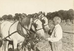 शीर्षकहीन, सीए। 1935. द्वारा लेविस विक्स हाइन