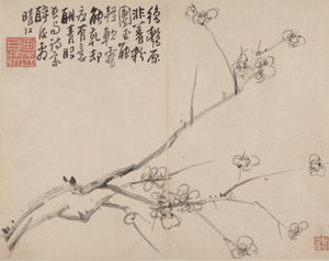 ब्लॉसमिंग प्लम का एल्बम, 1742। द्वारा ली फेंगिंग