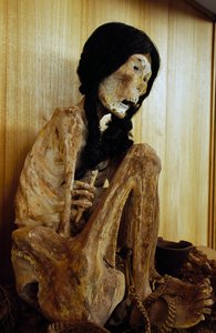 सैन पेड्रो डी अटाकामा, चिली, 500 ईसा पूर्व से मिस चिली के रूप में जानी जाने वाली ममी द्वारा अज्ञात अज्ञात