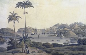 विलियम डैनियल (1769-1837) द्वारा उत्कीर्ण बेलमॉन्ट एस्टेट से लिया गया ग्रेनेडा द्वीप पर सेंट जॉर्ज के शहर का एक दृश्य, c.1810 द्वारा लेफ्टिनेंट कर्नल जे। विल्सन