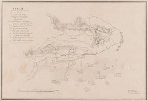 ग़ज़नी के किले का स्केच। 23 जुलाई 1839 को स्टॉर्म द्वारा लिया गया' (लिथो)
