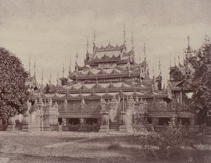 अमेरापुरा: महा-ओंग-मेये-लि-म्हान क्यूंग द्वारा लिनिअस ट्राइप