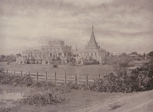 अमेरापुरा: ओउक क्यूंग द्वारा लिनिअस ट्राइप