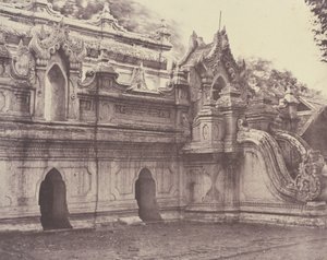 अमेरापुरा: टौंग-ले-लू-टी क्यूंग द्वारा लिनिअस ट्राइप