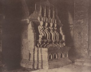  द्वारा लिनिअस ट्राइप