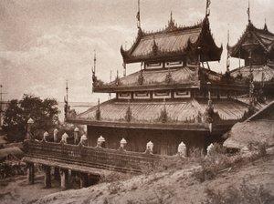 क्रमांक 8. ये-नान-ग्योंग [येनांगयांग] क्यूंग, 1855 द्वारा लिनिअस ट्राइप